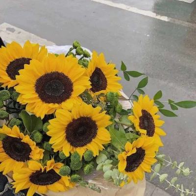 赏金女王官网正版下载