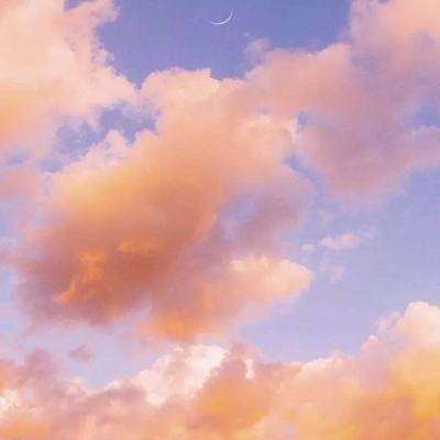 bsport体育在线登录