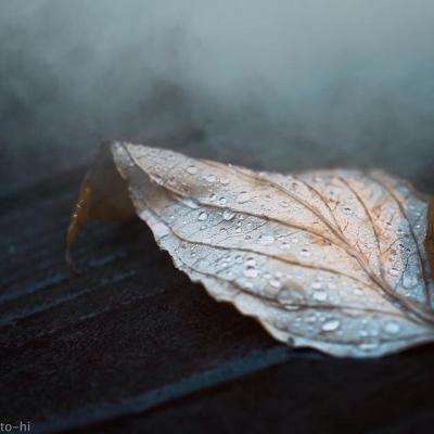 尊龙AG旗舰厅app下载