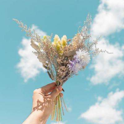 米乐网手机app下载