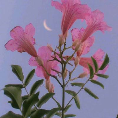 bsport体育在线登录截图