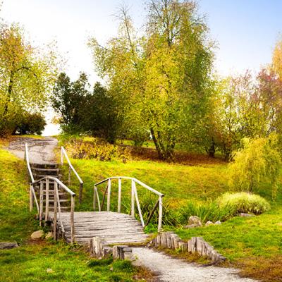 半岛官方入口app